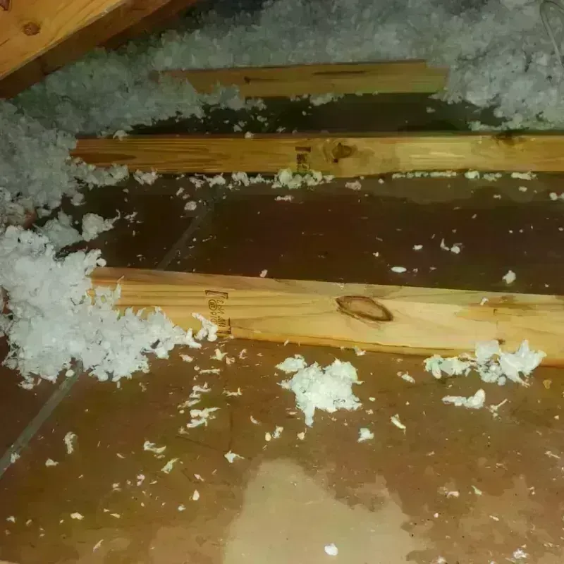 Attic Water Damage in Santa Clara, PR